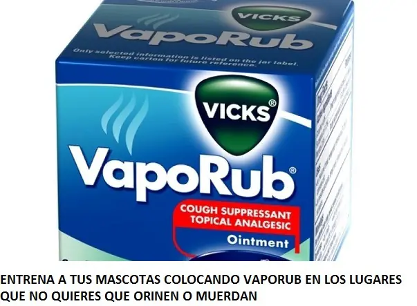 20 Objetos que tienes en tu casa y les puedes sacar más uso