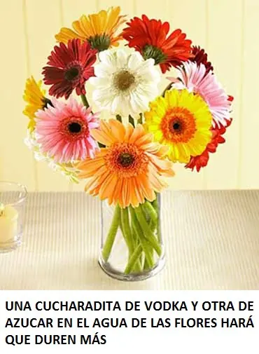 info