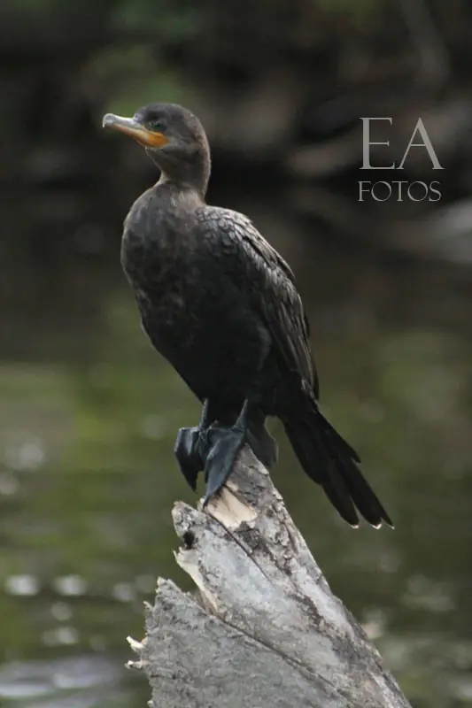 Mi tercer post con la Canon T3