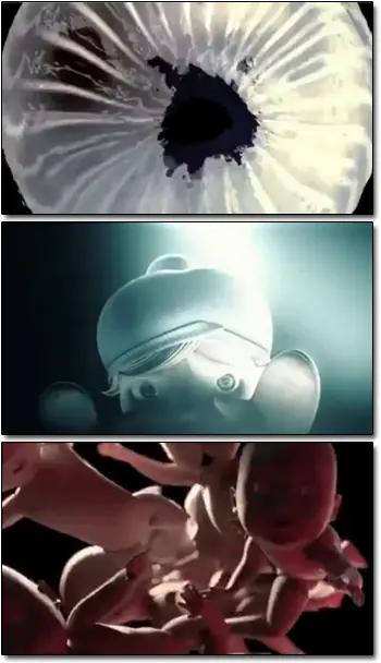 peliculas