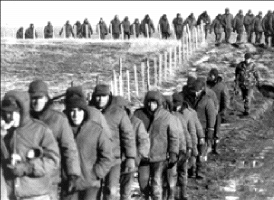 Día del Veterano de Guerra y los Caídos Guerra Malvinas