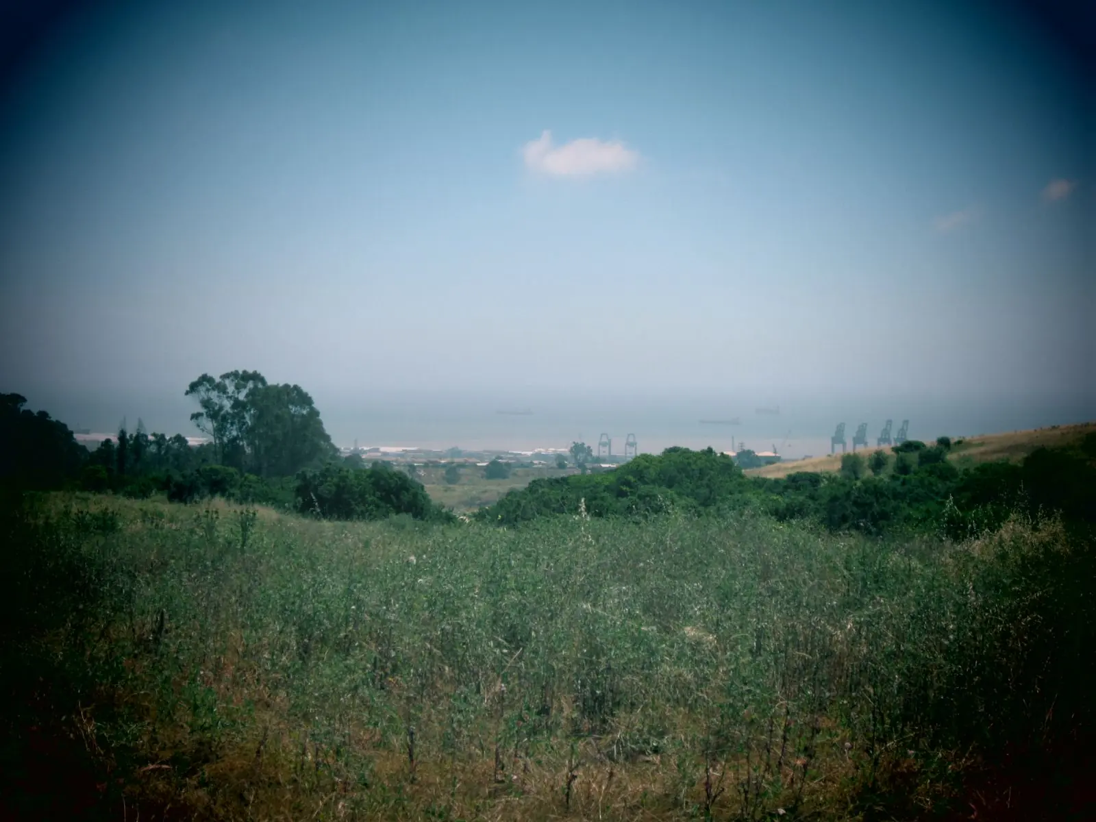 “La tierra de mis sueños” (Relato Propio)