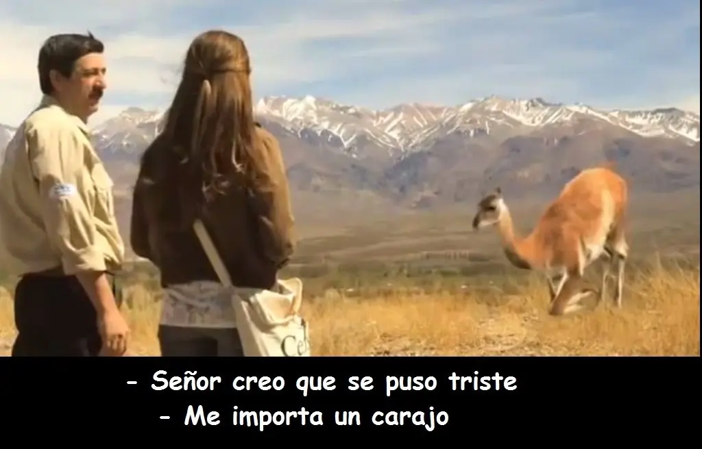 quien te conoce