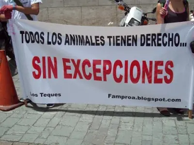 Los animales también tienen derechos
