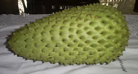 fruta