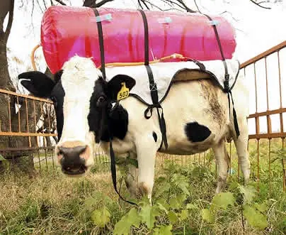Modelos Económicos con Vacas