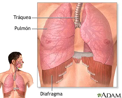 Mitos y Creencias de medicina-desmentidas por mi.