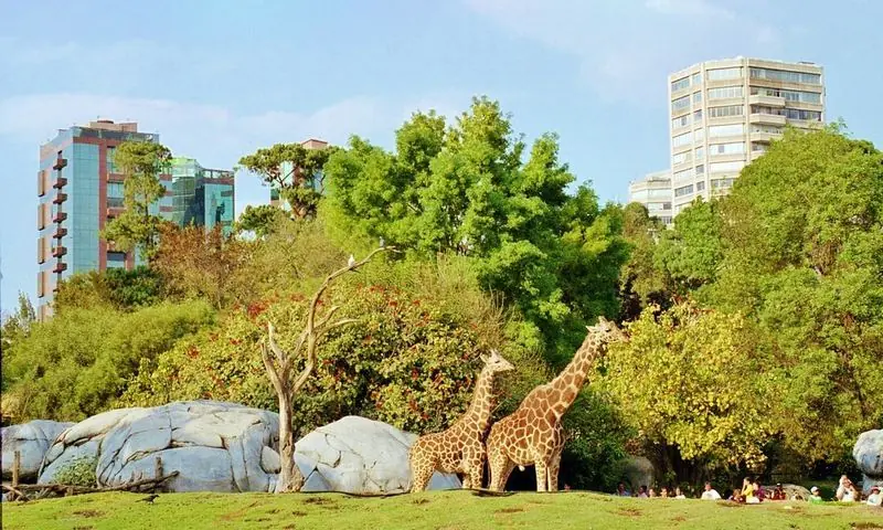 reforma