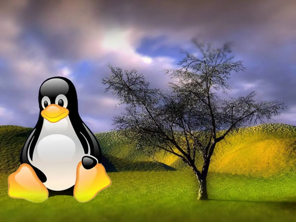 Wallpapers De Linux Para Tu Escritorio.