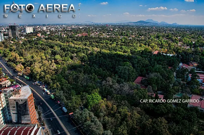 La ciudad más polifacética del mundo: Megapost