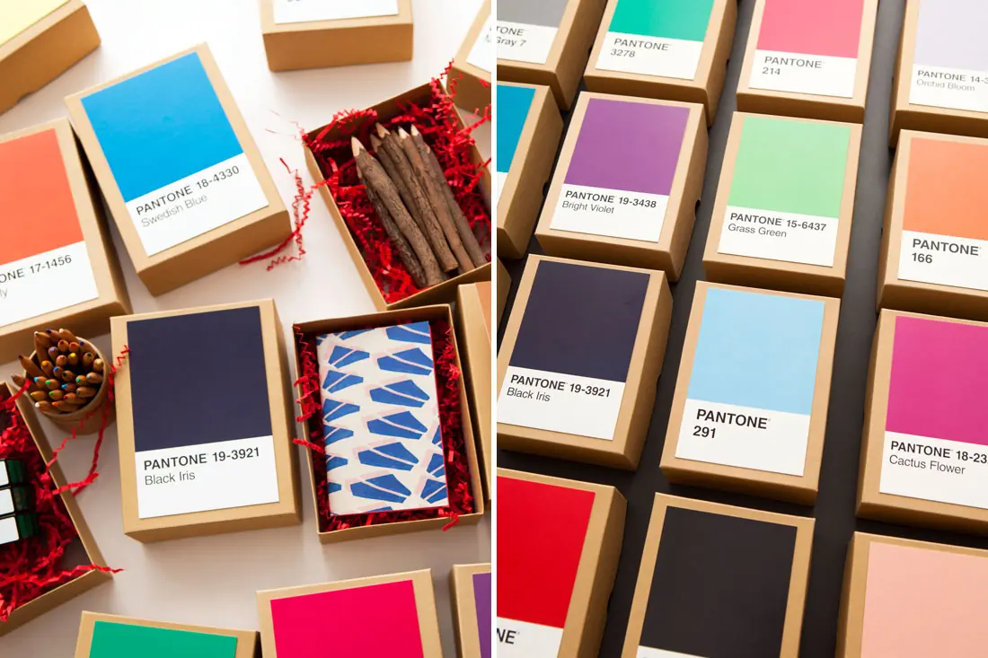 Envoltura estilo Pantone