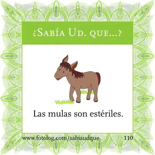 Sabia usted que? Datos curiosos sobre los animales