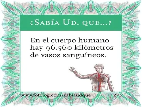 Sabia usted que? Datos curiosos sobre los animales