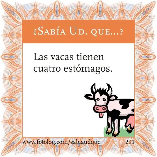 Sabia usted que? Datos curiosos sobre los animales