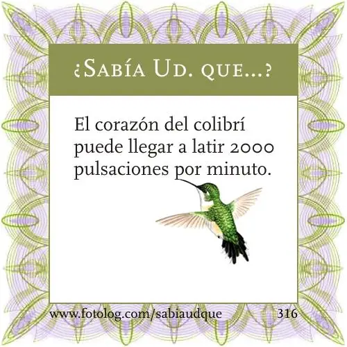 Sabia usted que? Datos curiosos sobre los animales