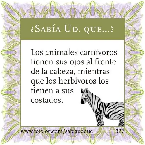 Animales