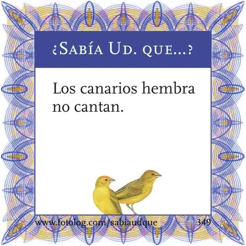 Sabia usted que? Datos curiosos sobre los animales