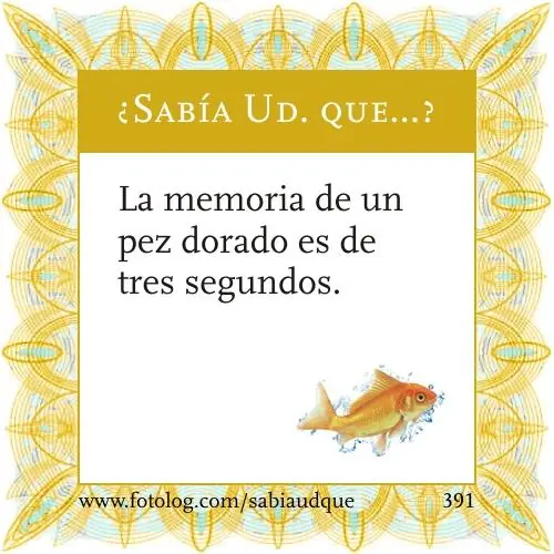 Sabia usted que? Datos curiosos sobre los animales