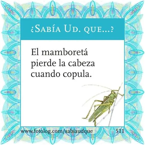 Sabia usted que? Datos curiosos sobre los animales