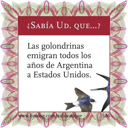 Sabia usted que? Datos curiosos sobre los animales