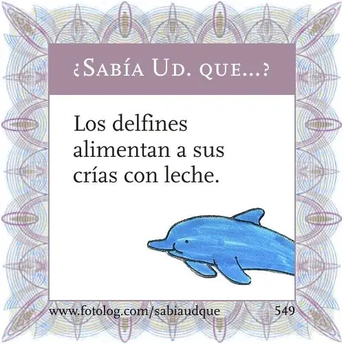 Sabia usted que? Datos curiosos sobre los animales
