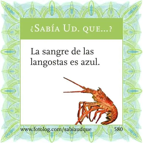 Sabia usted que? Datos curiosos sobre los animales