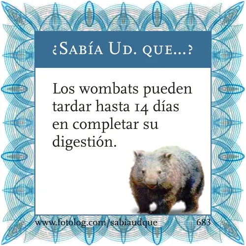 Sabia usted que? Datos curiosos sobre los animales