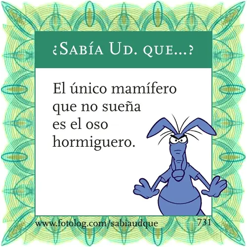 Sabia usted que? Datos curiosos sobre los animales