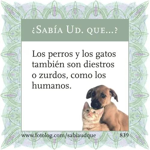 Sabia usted que? Datos curiosos sobre los animales