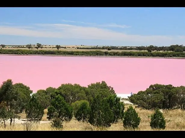 lago