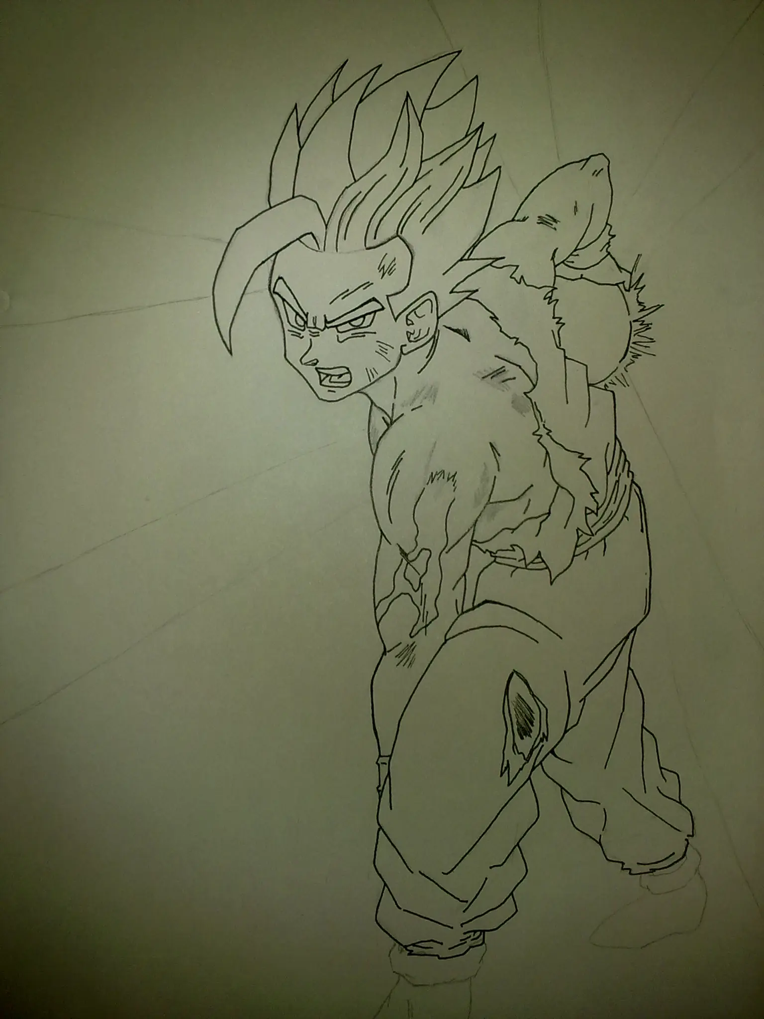 vegeta