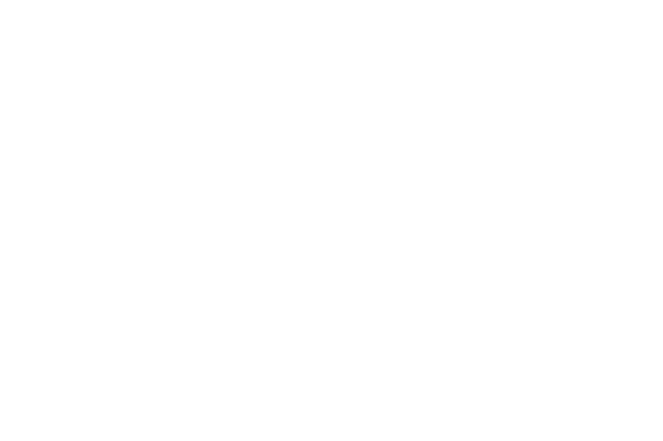 lapiz
