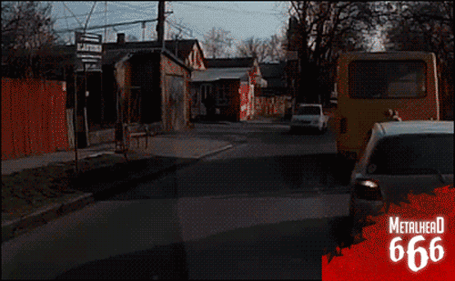 Gifs
