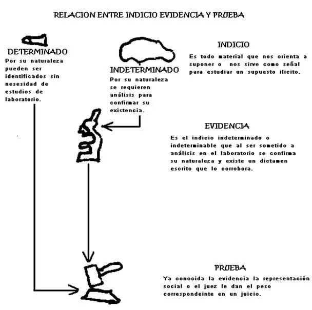 Criminalística visual. Parte 1 / 3