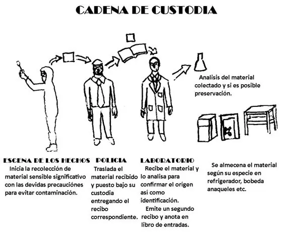 criminalística
