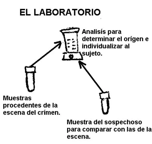 1 de 3