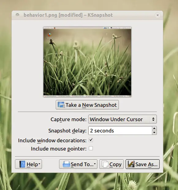 KSnapShot: Capturar la pantalla igual a WinSnap