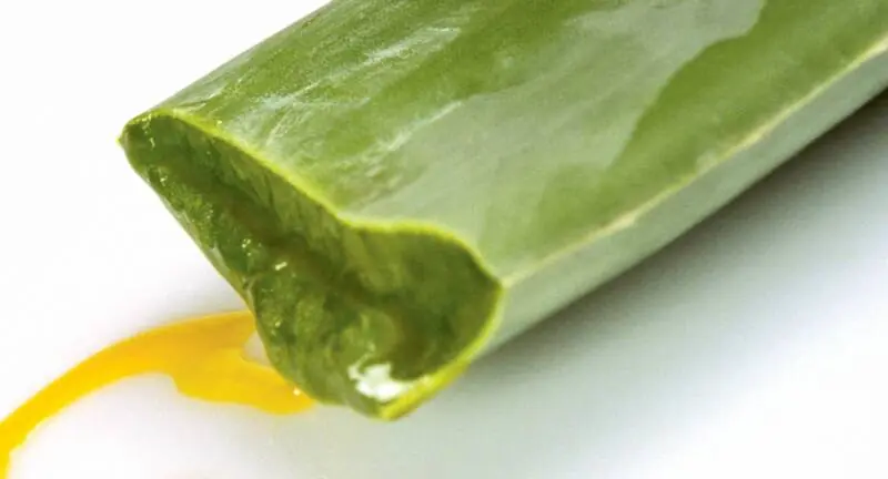 piel manchada