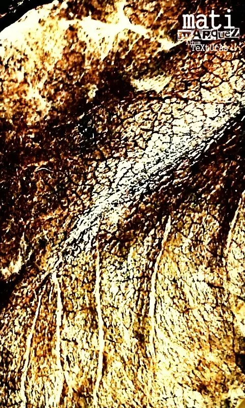 arte