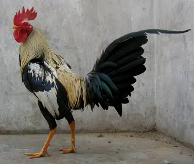 Te apuesto +10 a que estas 10 cosas no las sabias