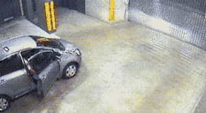 gif animado