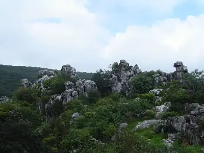 biosfera ¨el cielo¨(Mexico)