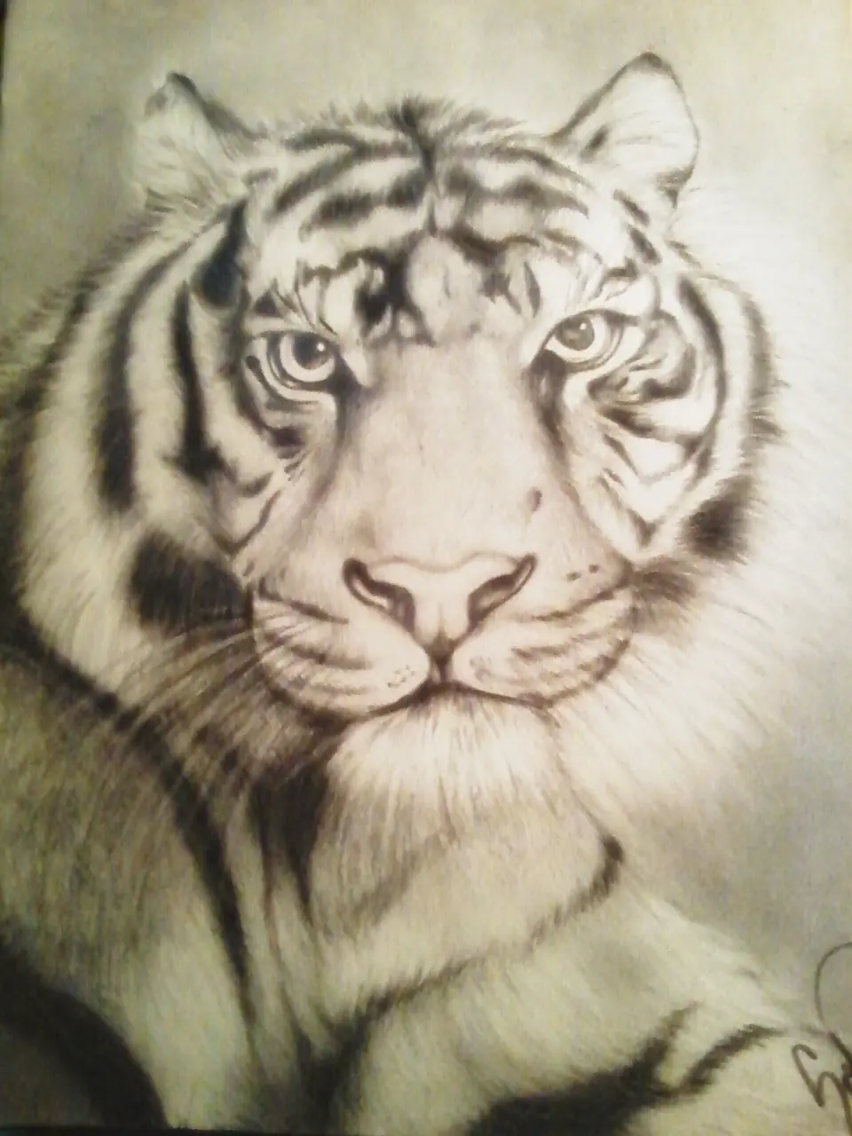 Mas dibujos a lapiz...