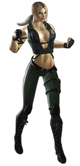 [Info]Mortal Kombat 9.