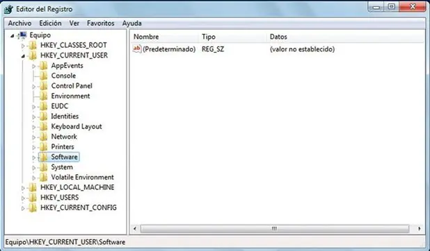 software
