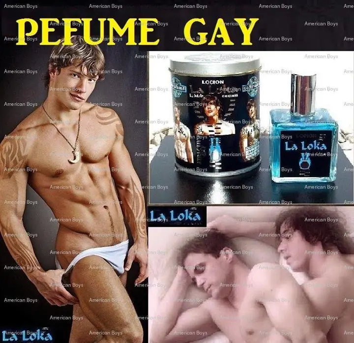 Mercado libre WTF [Actualizado]