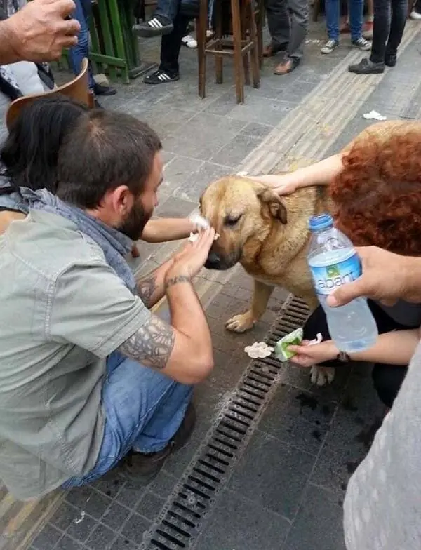 valoressolidarios