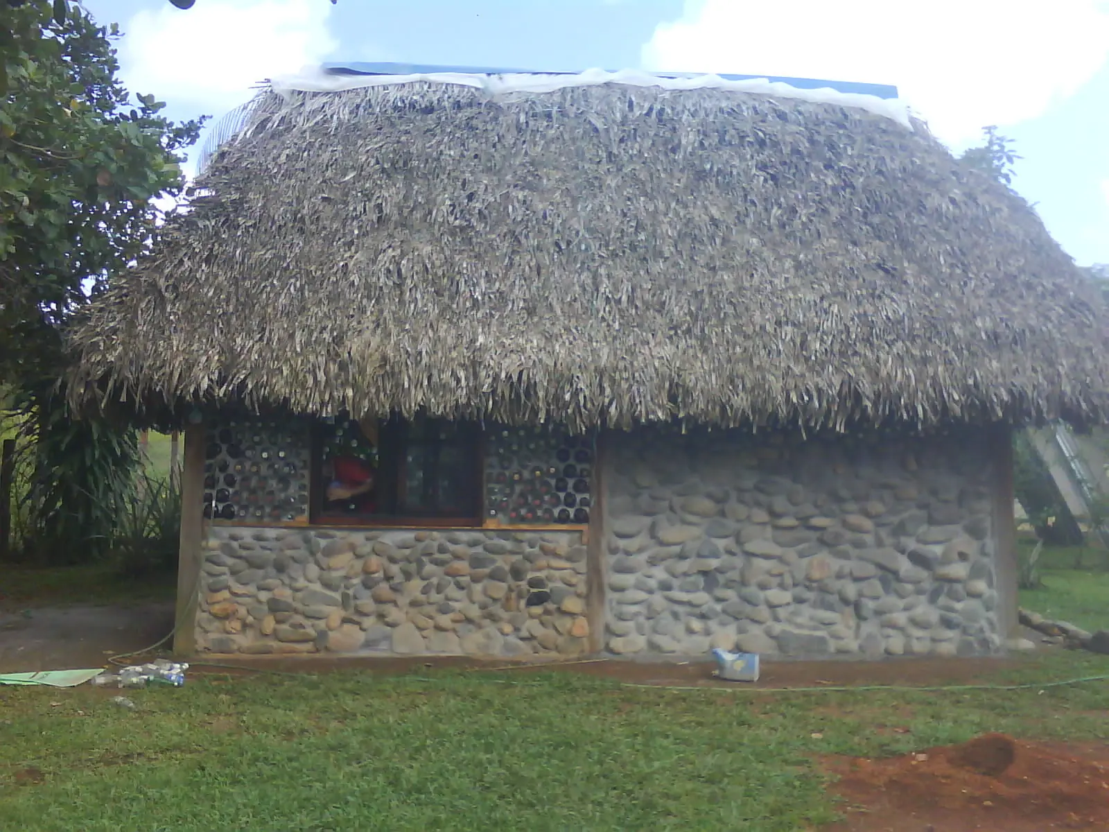 ecologia