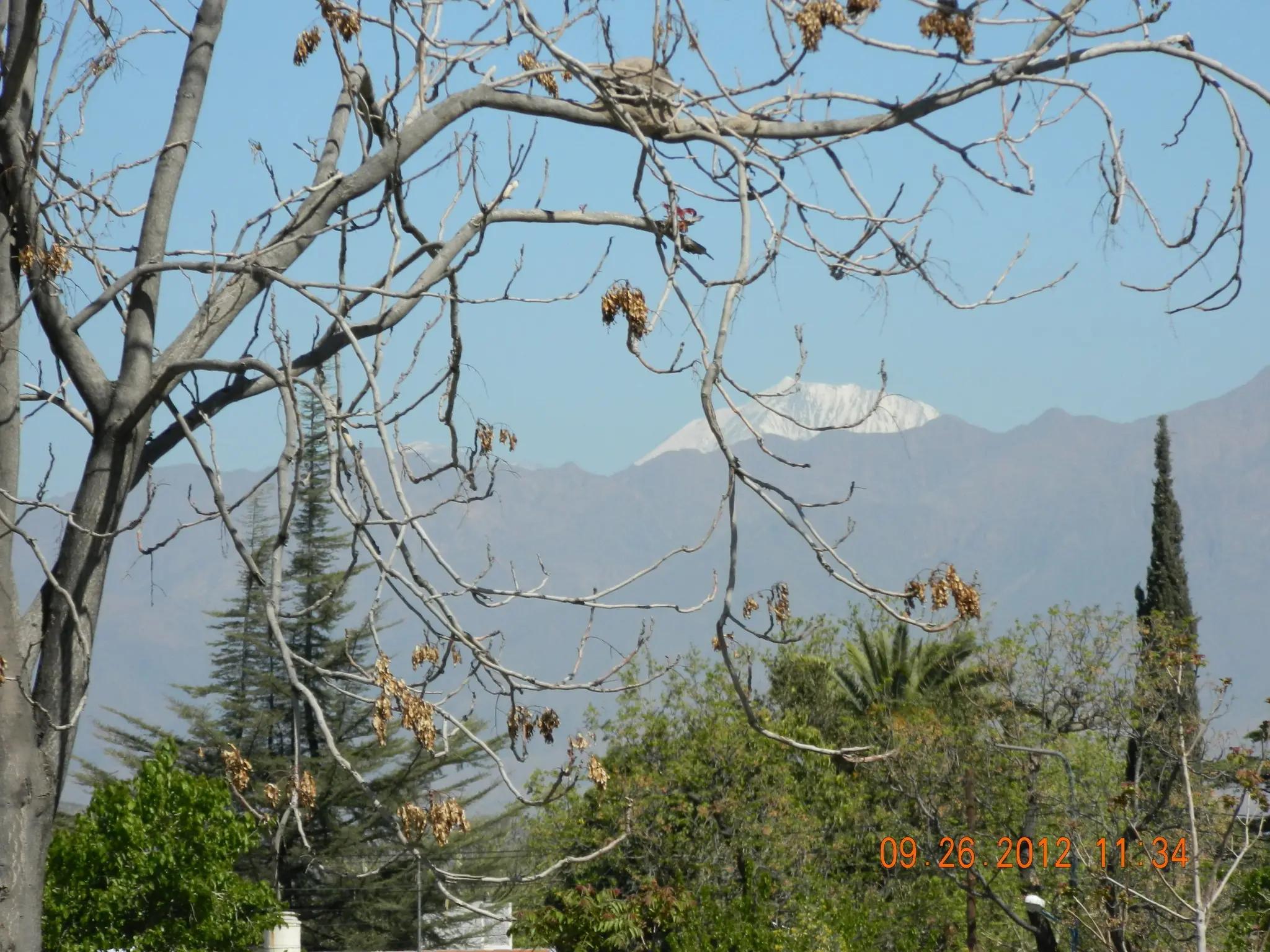 naturaleza