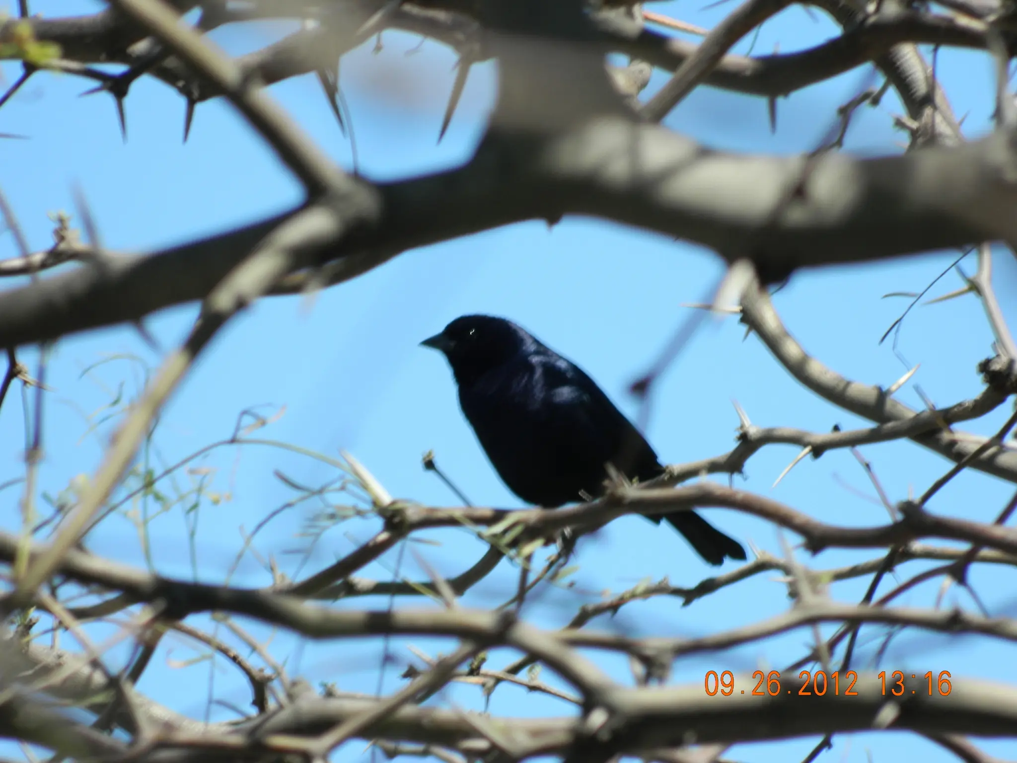 naturaleza
